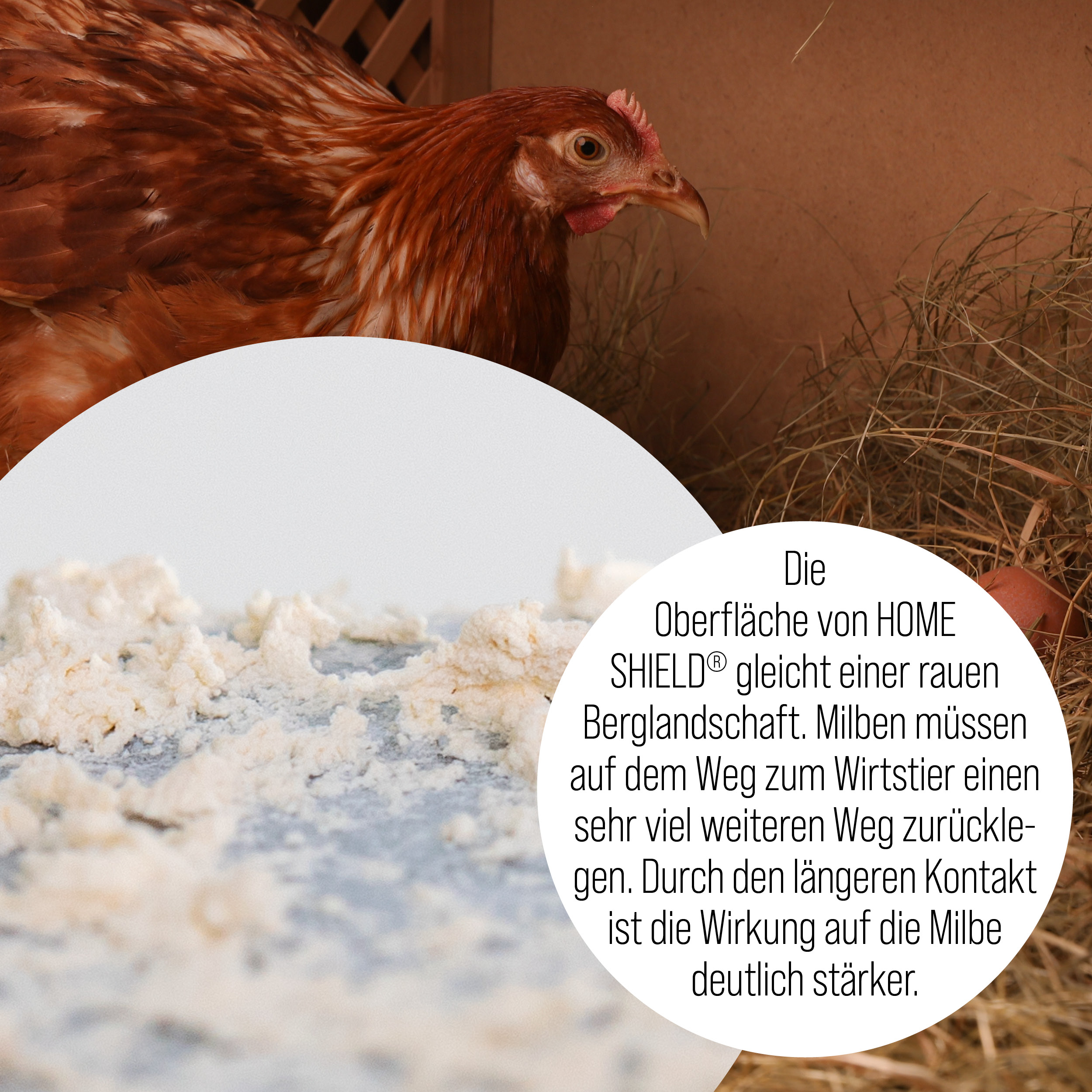 Produktoberfläche von Fossil Shield und Mitbewerber mit tropfen im Kampf gegen die rote Vogelmilbe im Hühnerstall für Milbenprophylaxe und Milbennachbehandlung